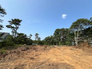 clearing