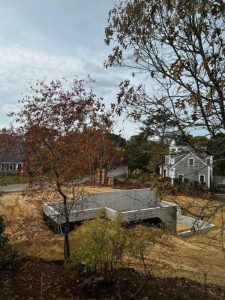 view from next door