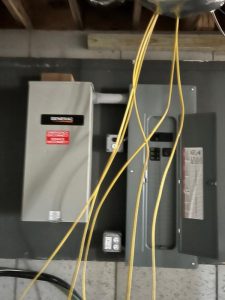 Panel